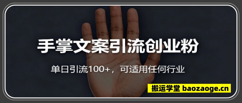 手掌文案引流创业粉，单日引流100+，可
