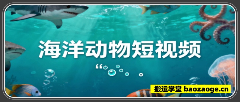 海洋动物短视频~